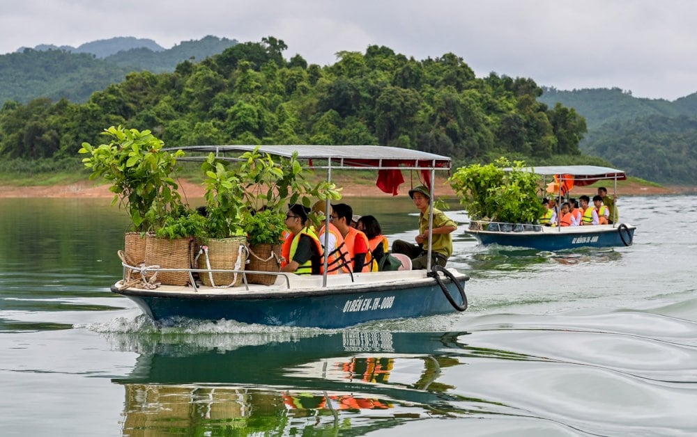 Đi thuyền ngắm cảnh trên sông
